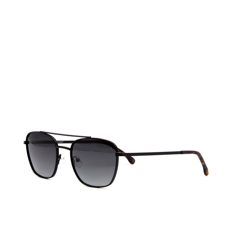 (DV0188) Sunglasses