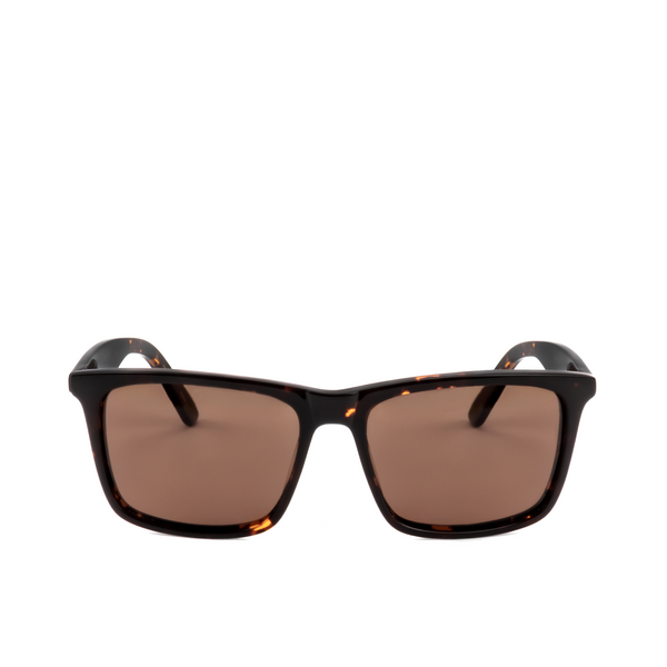 (DV0043) Sunglasses