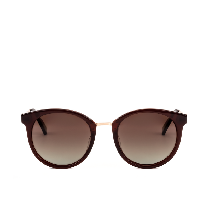 (DV0087) Monza sunglasses