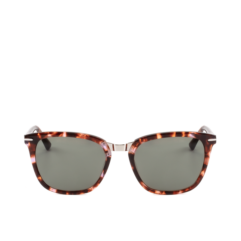 (DV0097) Michele sunglasses