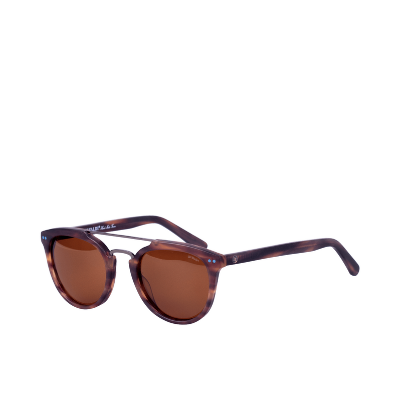 (DV0101) Sunglasses