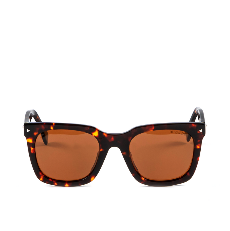 (DV0147) Sunglasses
