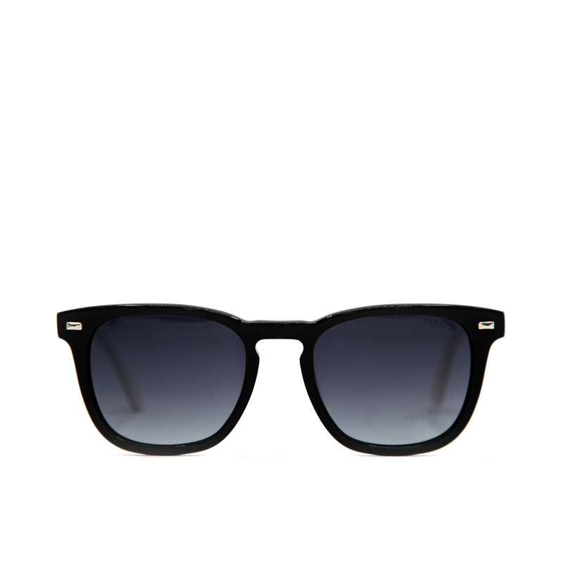 (DV0173) Sunglasses
